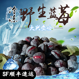 东北大兴安岭野生冷冻新鲜蓝莓鲜果学生水果天然冻都柿2500g