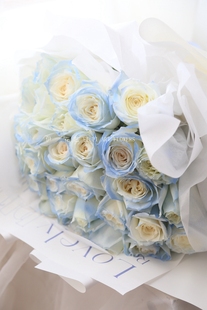 北京同城鲜花店碎冰蓝玫瑰，花束鲜花速递女友闺蜜男友生日送花