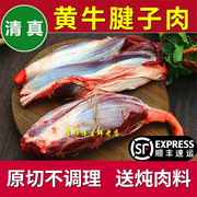 新鲜牛腱5斤原切牛腱弧黄牛肉，生牛肉黄牛腱子牛腿肉散养清真老店