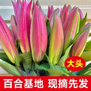 鲜花花束云南鲜花基地直发，香水百合花速递同城水养插花情人节礼物