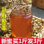 蜂蜜天然纯野生深山百花蜜，农家自产自销自然成熟封盖土蜂蜜