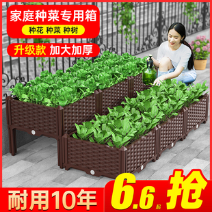 种植箱家庭阳台种菜专用箱楼顶蔬菜塑料花盆，长方形槽特大家用花箱