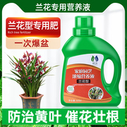 兰花专用肥料兰灵王专用营养液兰陵王多箭素爆芽素促花绿叶有机肥