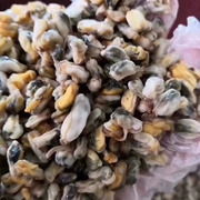 潮汕 饶平特产当季薄壳米 新鲜 海瓜子米 贝壳类海鲜水产  500g
