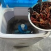 洗小龙虾神器清洗机全自动夜市餐饭馆仿手洗刷洗小龙虾机器