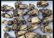 新疆巴楚野生蘑菇干食用菌，香菇胡杨林皱柄羊肚菌，250g巴楚菇