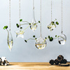 创意悬挂式透明水培玻璃花瓶插花盆，绿萝壁挂小鱼缸，简约现代小吊瓶
