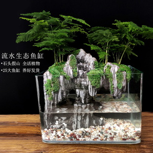 大鱼缸流水苔藓微景观生态瓶，乌龟盆栽盆景，植物室内办公室水培绿植