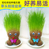 草头娃娃小盆栽长草娃娃，头发办公室绿植水培幼儿园儿童种植种草