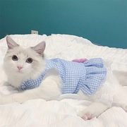 春夏薄款猫咪衣服可爱裙子布偶金吉拉(金吉拉)蓝白宠物狗狗夏天蕾丝公主裙