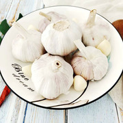 大蒜头干蒜农家自种大蒜籽白皮安徽安庆宿松特产蔬菜多瓣大蒜500g