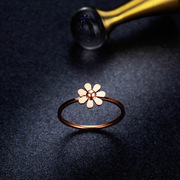 钛钢镀18k玫瑰金小雏菊花朵，戒指女日韩关节，食指清新文艺气质指环