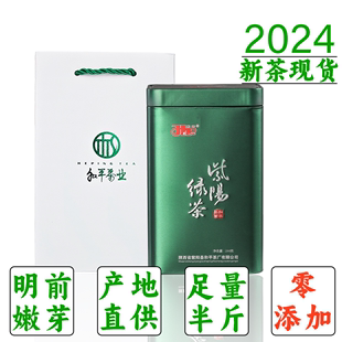 2024新茶紫阳富硒茶产区明前采摘嫩芽一级高山云雾绿茶叶250g