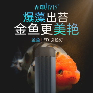 吉印爆藻灯led金鱼缸专用灯全光谱兰寿防水藻缸灯专业暴藻鱼缸灯