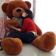 毛绒玩具公仔泰迪熊猫抱抱熊女布娃娃可爱床上抱枕睡觉特大号玩偶