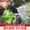 喷壶浇花浇水喷雾器气压式喷水壶消毒专用家用清洁园艺养花洒水壶