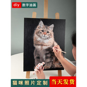 数字油画宠物猫咪照片diy定制手工油彩画画动物，填色填充手作装饰