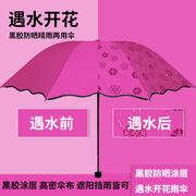 遇水开花伞晴雨两用雨伞遮阳伞女折叠太阳伞防紫外线
