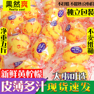 四川安岳黄柠檬(黄柠檬)5斤新鲜水果皮薄一级特产香水鲜甜柠檬青