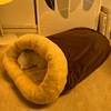 猫窝冬季保暖封闭式冬天幼猫专用睡觉的窝躲避屋猫咪睡袋被子棉被