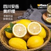 优选联濛会员四川安岳黄柠檬6粒单果100-150g 新鲜水果