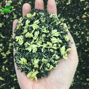 正宗四川飘雪2024新茶碧潭，特级明前浓香型，茉莉花茶散装茶叶500g