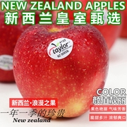 新西兰红玫瑰苹果进口苹果612颗脆甜新鲜孕妇水果