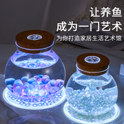 玻璃斗鱼瓶创意微景观带灯生态瓶桌面小金鱼
