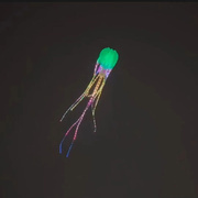 夜光软体风筝 18米夜光水母风筝 领航风筝 飘逸优美