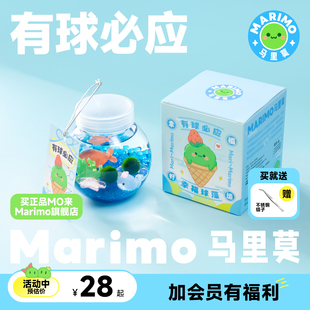 marimo马里莫(马里莫)有球，必应微景观海藻球藻，冬季植物水培大巨球生态瓶