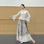 古典舞练功服长袖针织旗袍领修身上衣舞蹈服中国舞演出服新国风