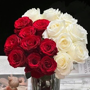 超值福利红玫瑰20支+白玫瑰，20支新鲜鲜花，云南基地直发