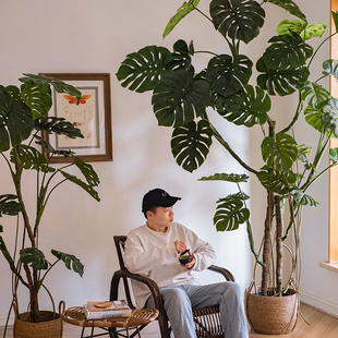掬涵仿真绿植龟背竹客厅，办公室仿生室内植物，盆栽摆件落地装饰假树