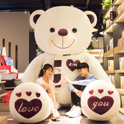 泰迪熊猫公仔抱抱熊毛绒玩具可爱大熊，娃娃大号玩偶生日礼物送女生