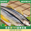 秋鱼500克（4-5条装） 烧烤食材 海鲜水产 鱼 正宗秋鱼