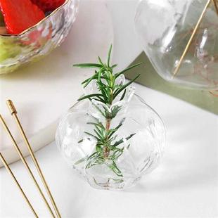 日式手作小石榴玻璃花瓶桌面绿萝水培插花迷你水养植物小清新花器