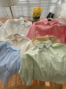多巴胺衬衫女早春秋新纯棉水洗法式高级设计感浅蓝淡黄果绿粉红色