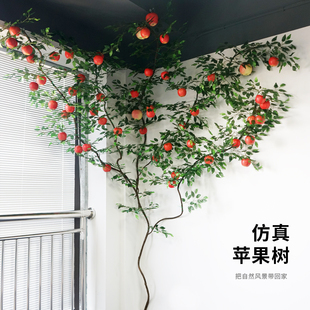 仿真藤条树装饰假樱花室内水果，绿植苹果吊顶，网红墙创意花藤挂件