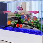 玻璃超白鱼缸靠墙屏风，隔断办公室免换水，大型生态客厅落地家用鱼缸