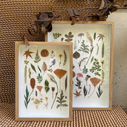 网红立体中空木质标本，相框a4diy手工植物干花，蝴蝶昆虫摆台墙面厚