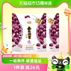 一件君乐宝每日活菌葡萄味活菌型乳酸菌饮品100ml*16袋