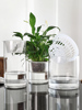 水培植物玻璃瓶子透明直筒圆柱形花瓶简约绿萝花盆白掌水养缸容器