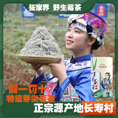 葛爷磨房莓茶5.9元抢20克莓茶