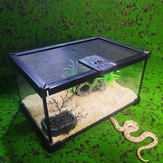 宠物蛇饲养套装爬虫箱雨林缸造z景紫陆龟蝎，蜥蜴守宫蛇苗繁殖保温