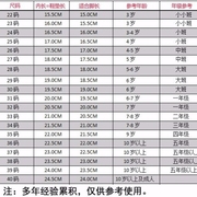 儿童幼儿园小白鞋小学生白布鞋运动鞋演出表演鞋男童布鞋女童球鞋