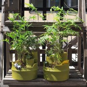 青竹物语田园风树脂花盆园艺竹子盆栽创意熊猫蜗牛鸭桌面阳台花器