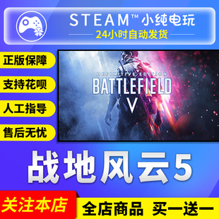 Steam正版 战地风云5 Battlefield V 战地5国区礼物 成品号白号