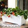 阳台种菜盆长方形花盆专用家庭，蔬菜种植箱，塑料树脂长条大号多肉