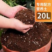 柠檬树专b用土专用营养，土专用肥料，中国农大研发营养土