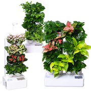 定制智能立体垂直绿化植物墙花盆塑料自动浇灌绿植墙面装饰绿化种